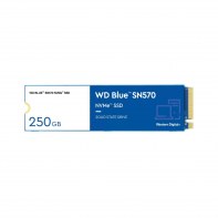 WESTERN DIGITAL WDS250G3B0C WESDD038296 WD Blue 250Go SN570 NVMe SSD WDS250G3B0C M.2 2280 PCI Express 3.0