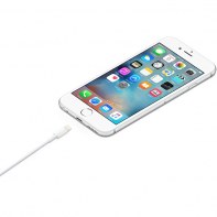 APLSY031696 APPLE Câble Lightning vers USB (1 m)