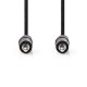 NEDIS CAGP22000BK30 NEDAU034228 Cordon audio Jack stéreo 3.5mm M/M 3m