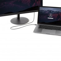 STAUS030183 USB Type-C vers DisplayPort de 1,8 m