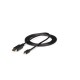 STARTECH MDP2DPMM6 STAVI036479 Mini DisplayPort vers DisplayPort 1.2 de 1,8m M/M