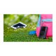 TPLINK M7350 TPLWI028125 M7350 Routeur Mobile 4G LTE-Advanced 150 Mbps Wi-Fi - 2000 mAh