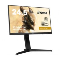 IIYEC037886 24.5p F.IPS FHD 240Hz 0.4ms 400cd/m² HDMI/DP 2x2W 2xUSB Règlable Noir