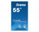 IIYAMA TF5539UHSC-W1AG IIYEC041082 55p Tact 4K IPS 8ms 500cd/m² VGA-2xHDMI-DP RS232C RJ45 2x8W Blanc