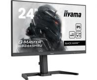 IIYEC043761 24p IPS FHD 1ms 250cd/m² HDMI/DP 2xUSB 2x2W Règlable Noir