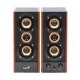 GENIUS 31730010402 GENHP033317 SP-HF800A II 2.0 20WRMS 3 voies entrée ligne jack Bois