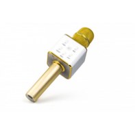 TECHNAXX 4685 TEHHP028473 MusicMan Microphone de Karaoké BT-X31 or-blanc