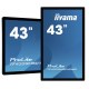 IIYAMA TF4339MSC-B1AG IIYEC138101 IIY 43p Tactile PCAP AMVA3 LED sans cadre 12 points 1920x1080 24/7 VGA/2xHDMI/DP